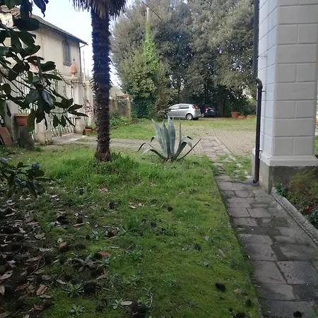 La Dogana 2*