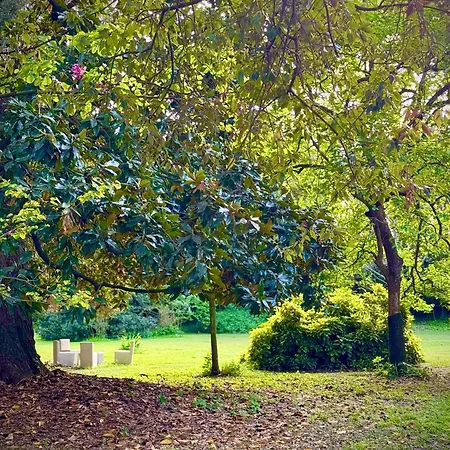 La Dogana Di Charme - Historic With A Beautiful Garden Lucca