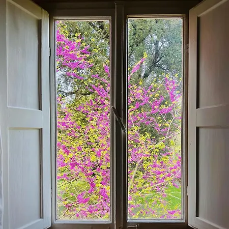 La Dogana Di Charme - Historic With A Beautiful Garden - Private Parking Готель типу 