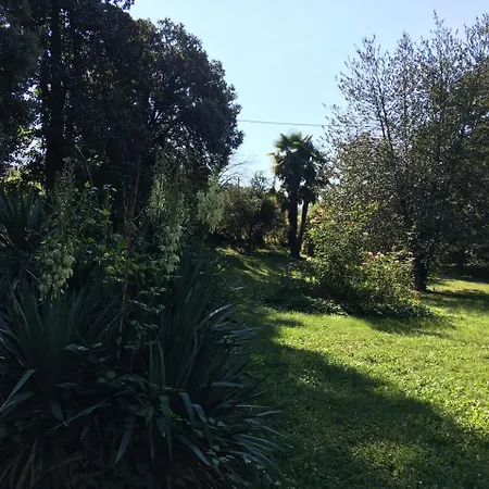 La Dogana