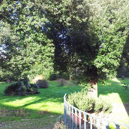 La Dogana Lucca